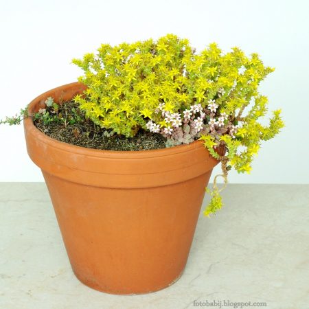 Doniczka ceramiczna 18 cm